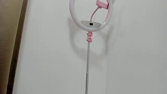 KendalStallyon webcam