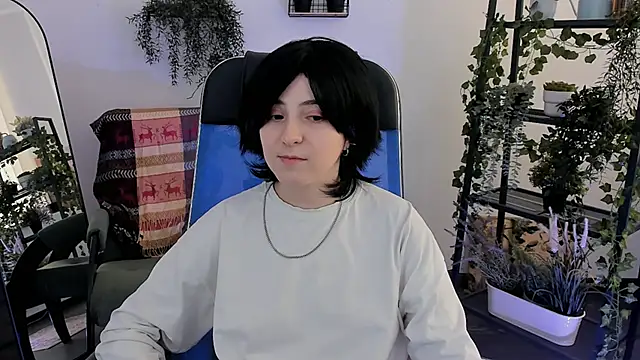 VirtuallVoyant webcam