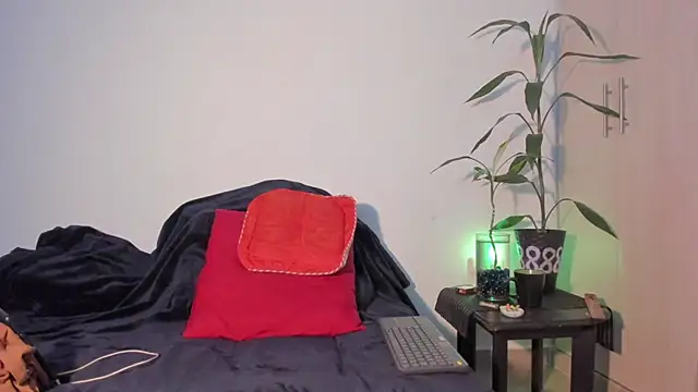 Erickpritz_xh webcam