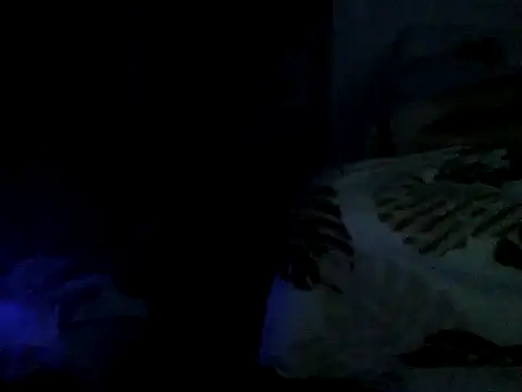 cabecaoegreluda webcam