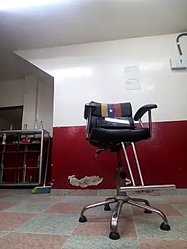 Deedpool_20cm webcam