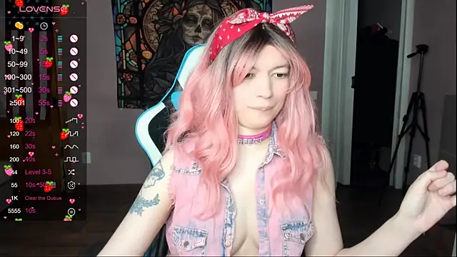 Project_hisoka webcam