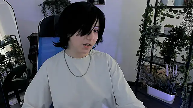 VirtuallVoyant webcam