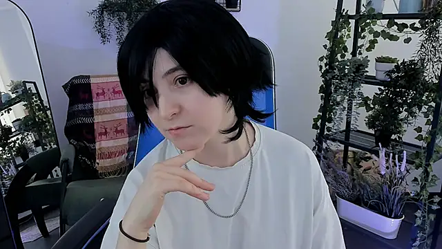 VirtuallVoyant webcam