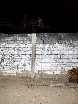 spittermasterpig1 webcam