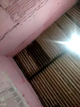 Hellentrans24 webcam