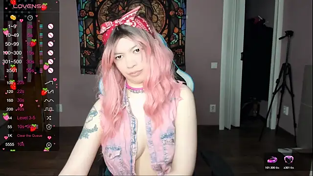 Project_hisoka webcam