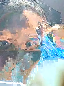 StrayedForename webcam