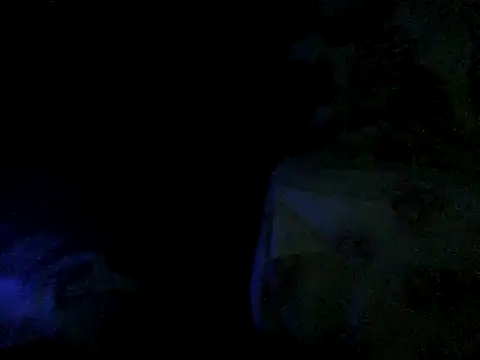 cabecaoegreluda webcam