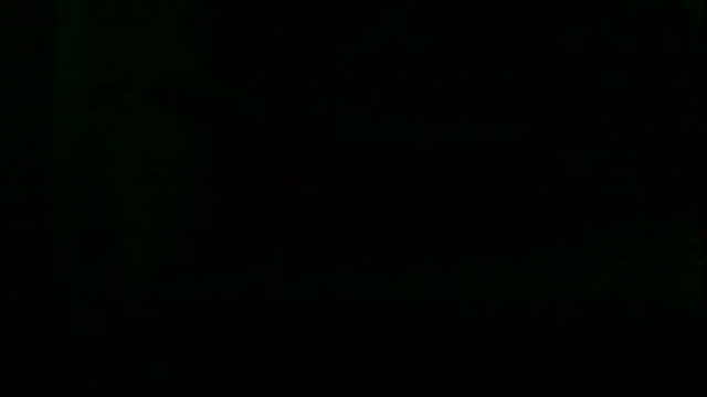 Preview of markluvskitty