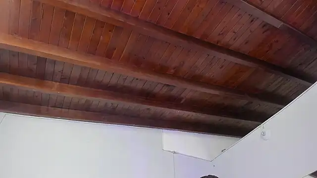 kaleb_violeta_1 webcam