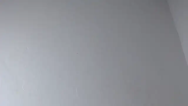 valeryskinnyvagi webcam