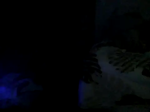 cabecaoegreluda webcam