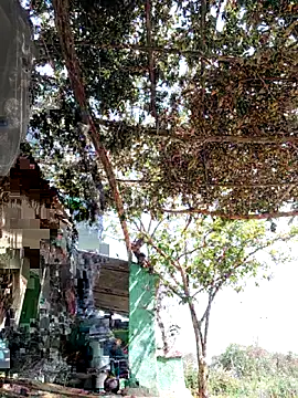 bhavna_pandit webcam