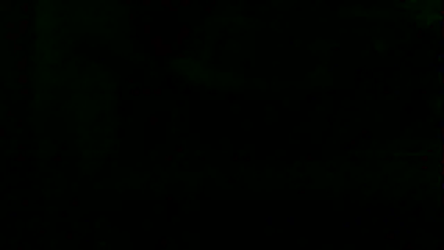 markluvskitty webcam