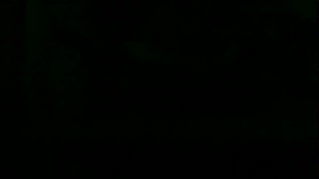 markluvskitty webcam