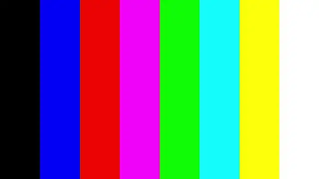 SherleyBorgmann webcam