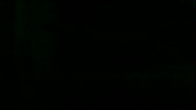 markluvskitty webcam