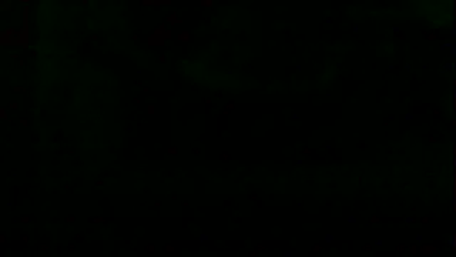 markluvskitty webcam