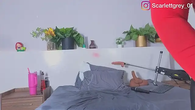 Scarlett_grey1 webcam