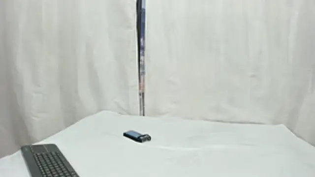 little_daicel webcam