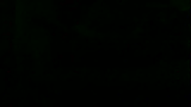 Preview of markluvskitty