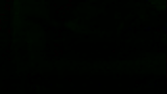 markluvskitty webcam