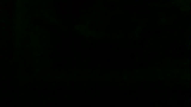 markluvskitty webcam