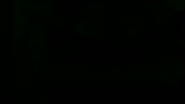 markluvskitty webcam