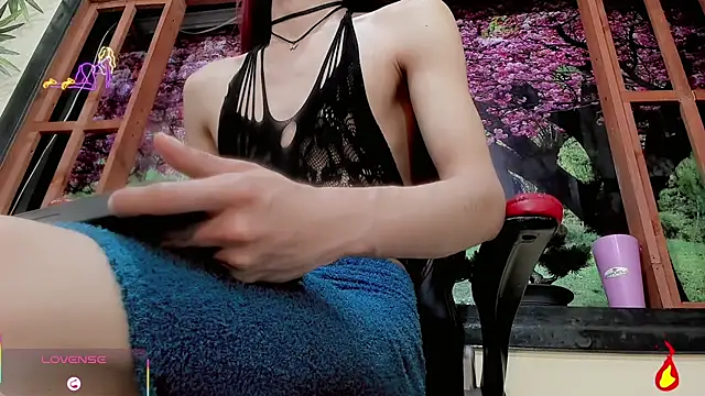 britanny_noroeste webcam