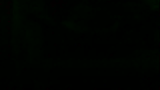 markluvskitty webcam