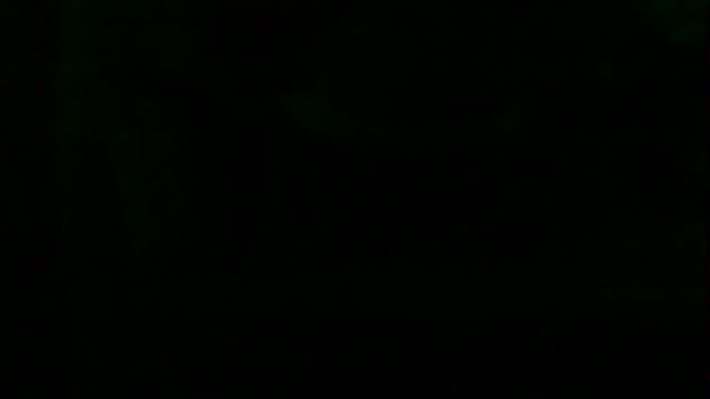 markluvskitty webcam