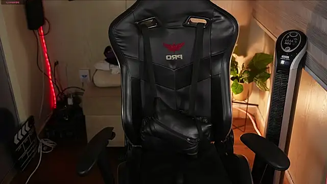 David_capizzi_'s live cam