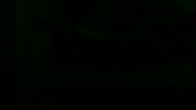 markluvskitty webcam