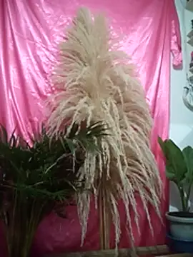 John_los666_hot webcam