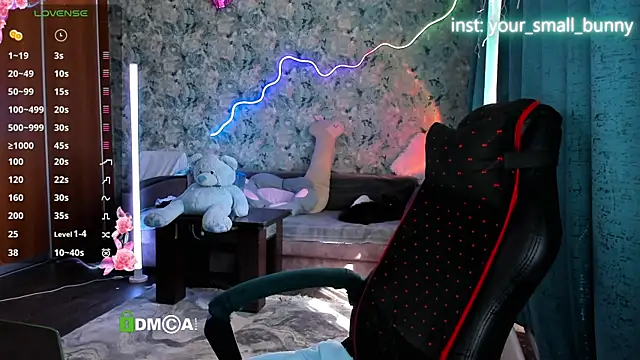 Your_small_bunny webcam