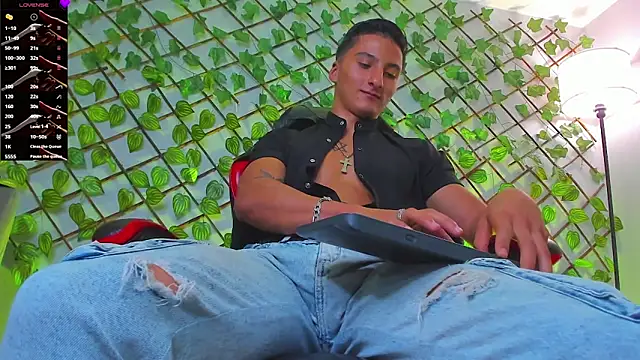 Dominus_Alpha webcam