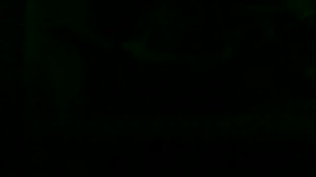 markluvskitty webcam