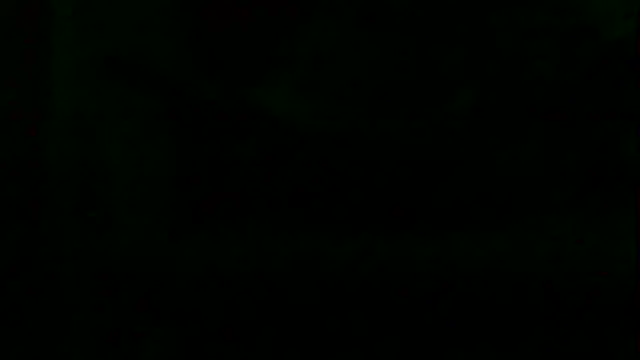 markluvskitty webcam