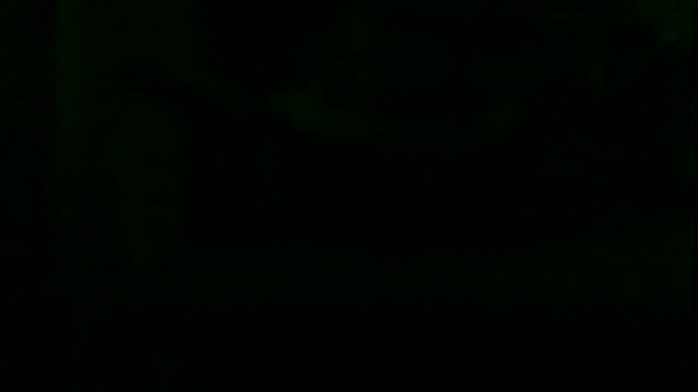 markluvskitty webcam