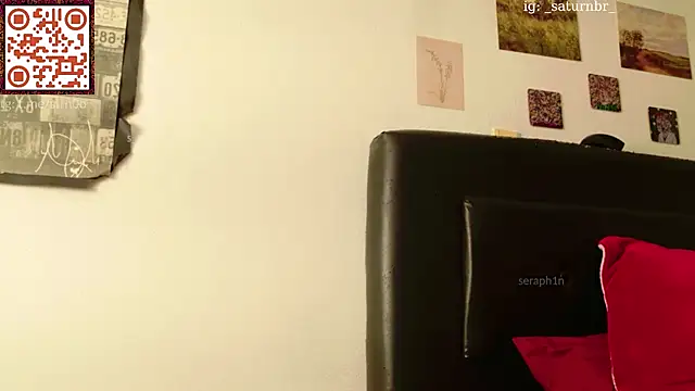 seraph1n webcam