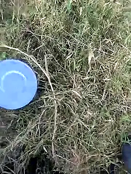 leelavathi-telugu webcam