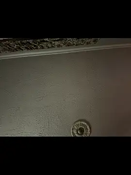 Integrityofsin webcam