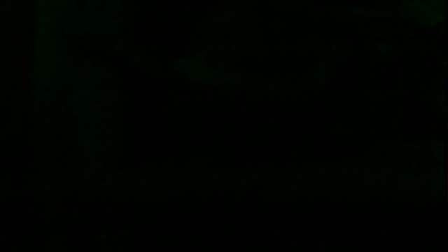 markluvskitty webcam