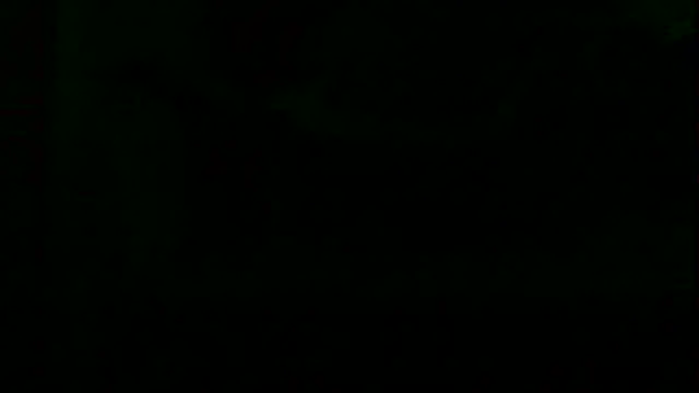 Preview of markluvskitty