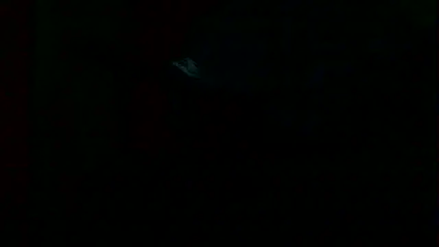 markluvskitty webcam