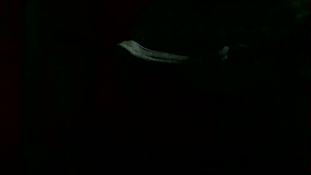 markluvskitty - Markluvskitty's free webcam - UK Sex Cams