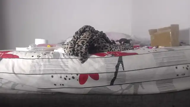 barbara_anal_squirt_