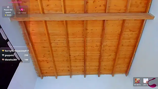 esteveen_ortegas_ webcam