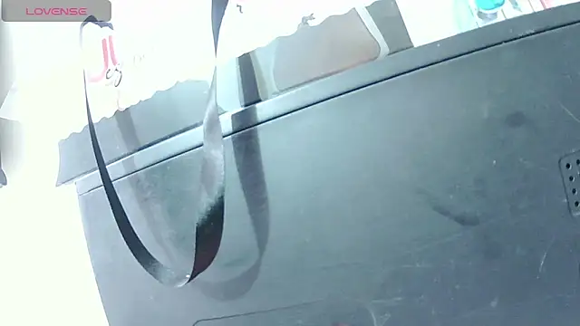 ashleey_palmer webcam